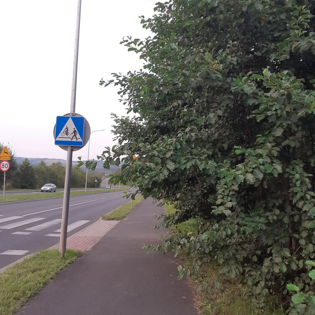 Jelenia Góra: Aleja Solidarności – niebezpieczna ścieżka