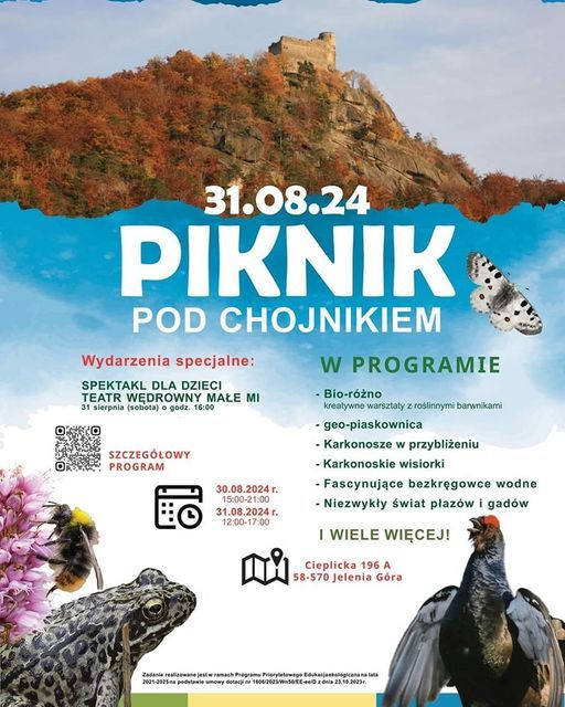 Sobieszów: Piknik pod Chojnikiem