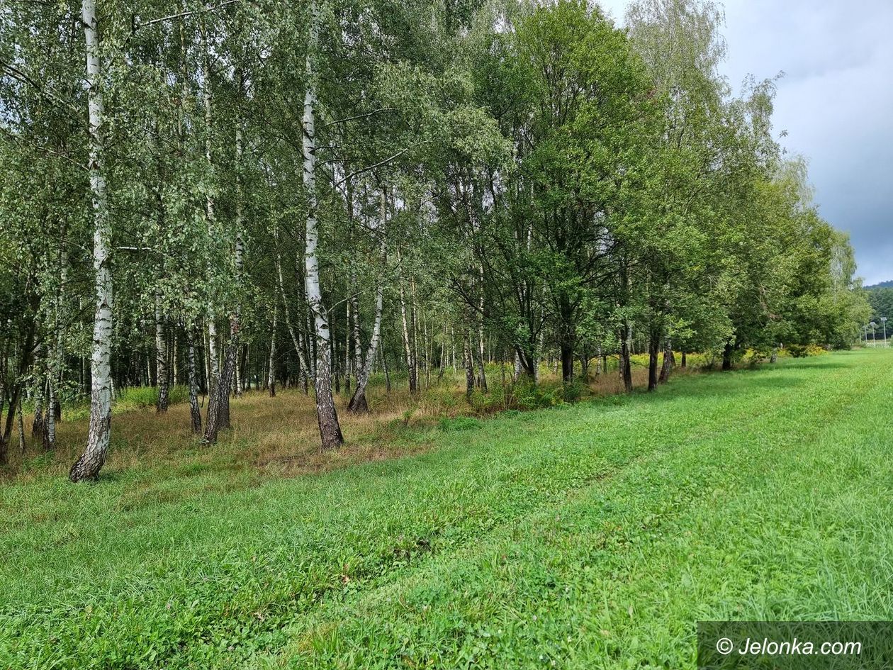 Jelenia Góra: Przetarg na Brzozowy Zakątek