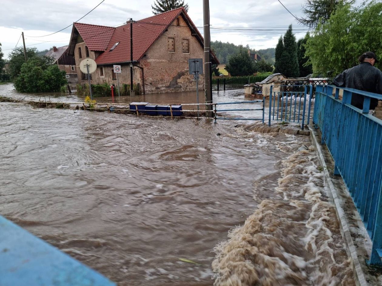 Jelenia Góra: Są już worki dla Maciejowej