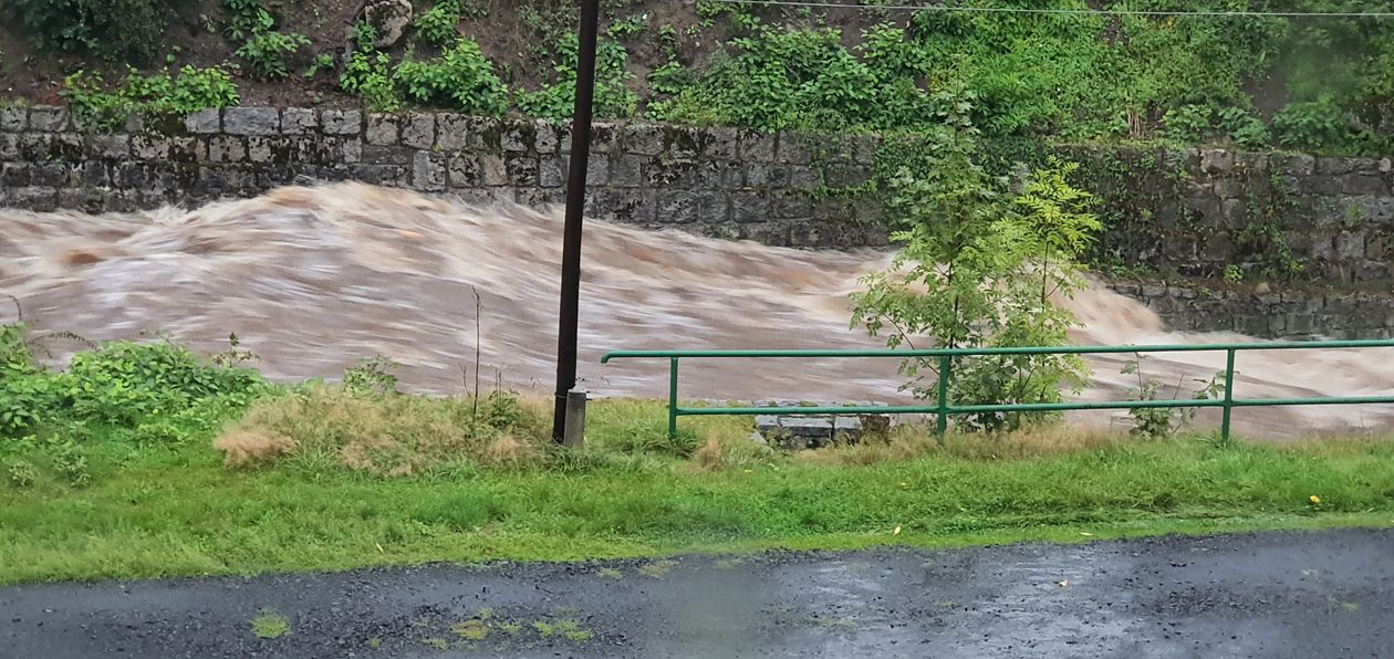 Jelenia Góra: Wrzosówka w Jagniątkowie