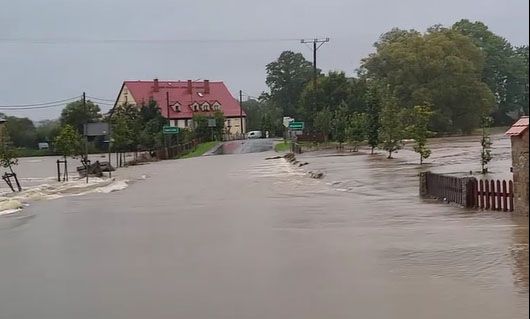 Wojanów: W Wojanowie zaczyna się dramat