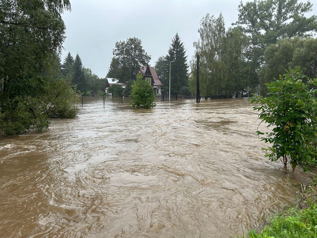 Wojanów-Bobrów: Ludzie z Wojanowa walczyli z Bobrem na czele z panią sołtys