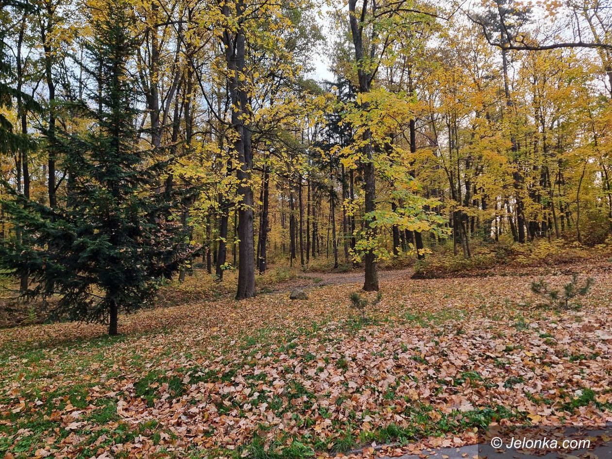 Jelenia Góra: Park na Wzgórzu Kościuszki wypięknieje