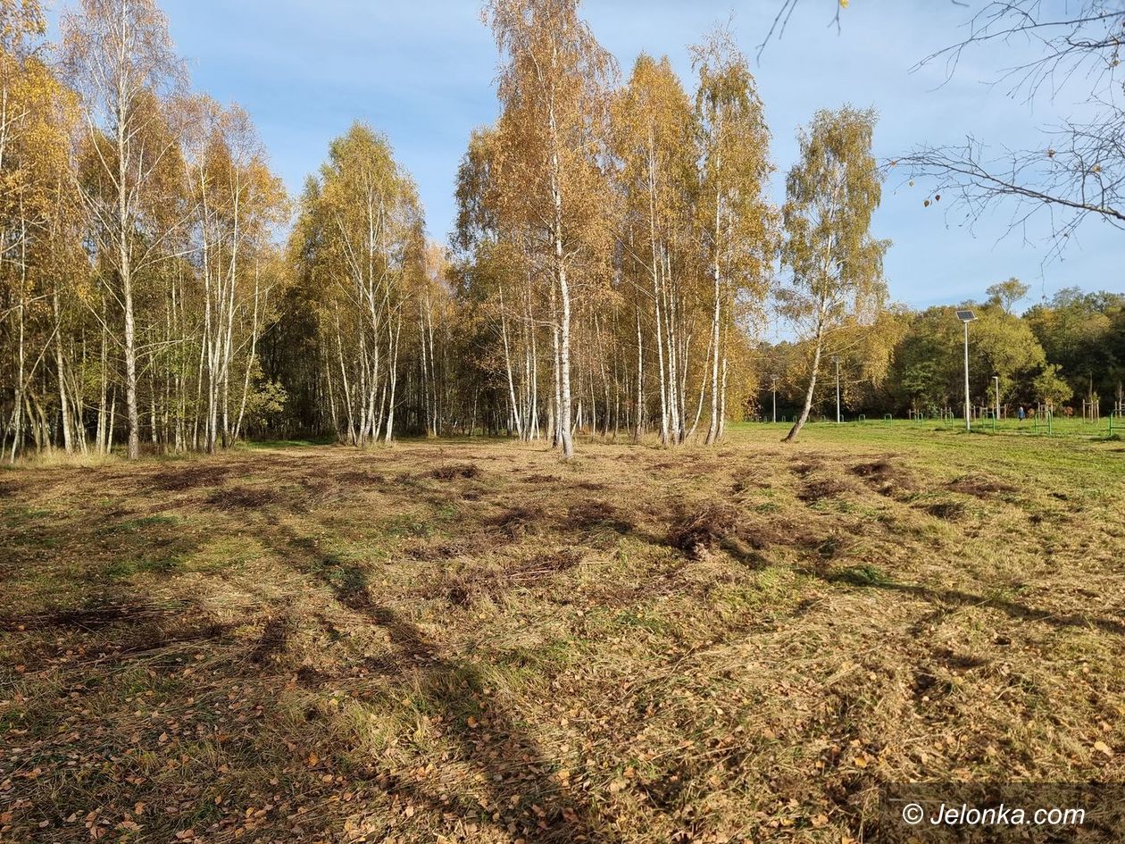 Jelenia Góra: Na grilla do Brzozowego Zakątka