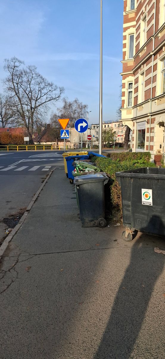 Jelenia Góra: Śmieci na Skłodowskiej