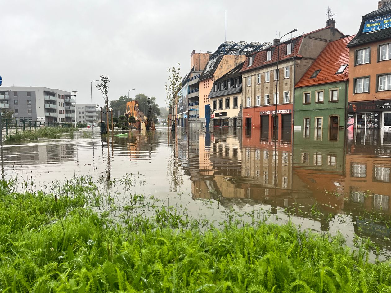 Jelenia Góra: Pomoc Miasta po powodzi