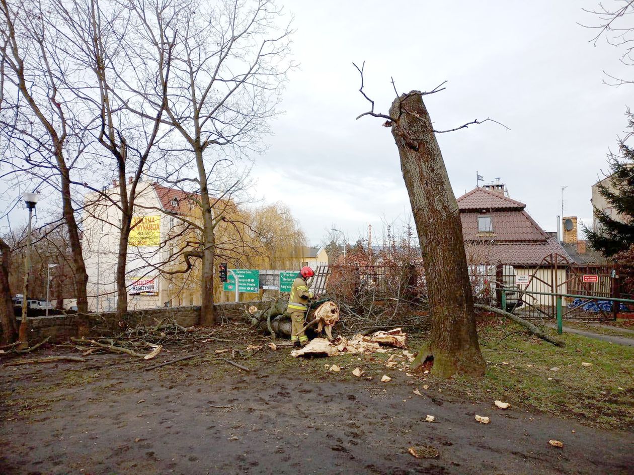 Jelenia Góra: Strażacy walczyli ze skutkami wichury