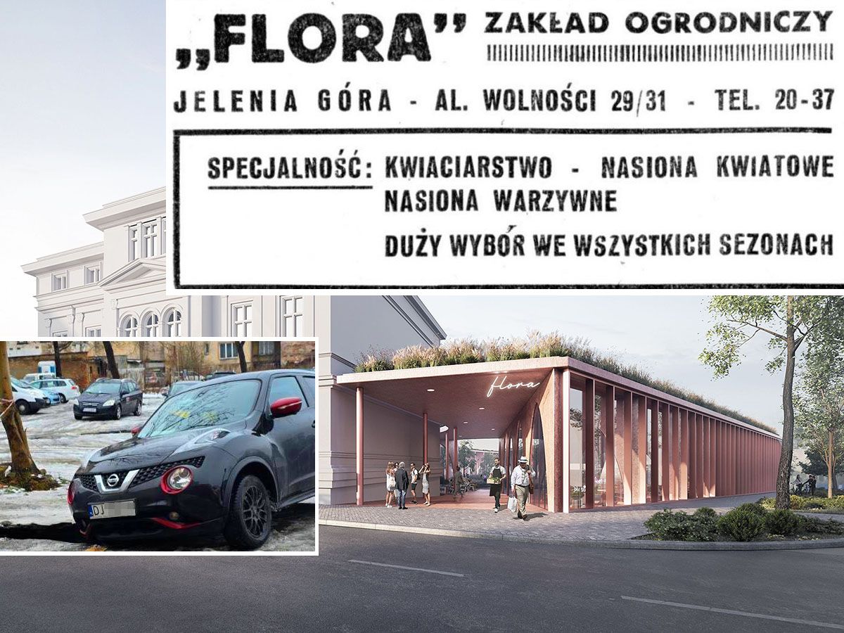 Jelenia Góra: Flora już nie jest jak stokrotka