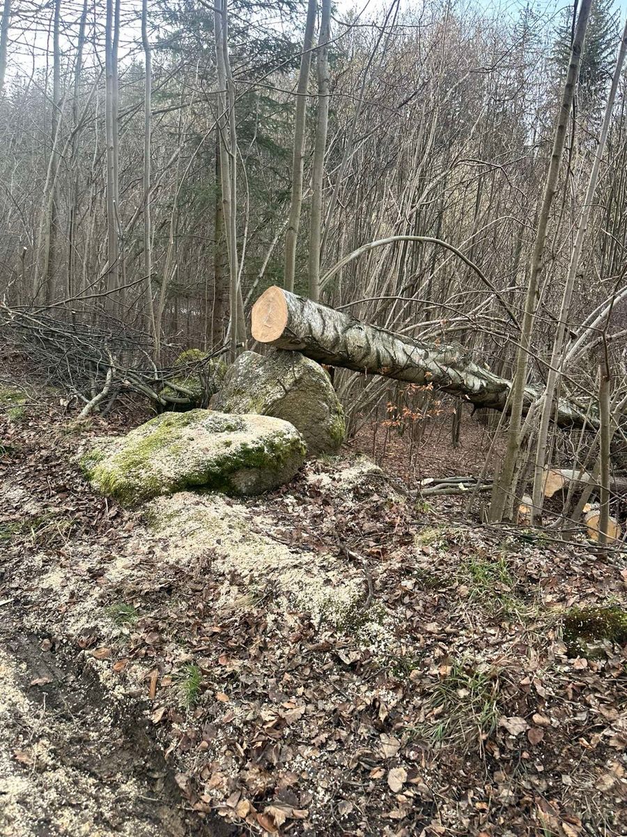 Gruszków: Gruszków i Strużnica bez prądu