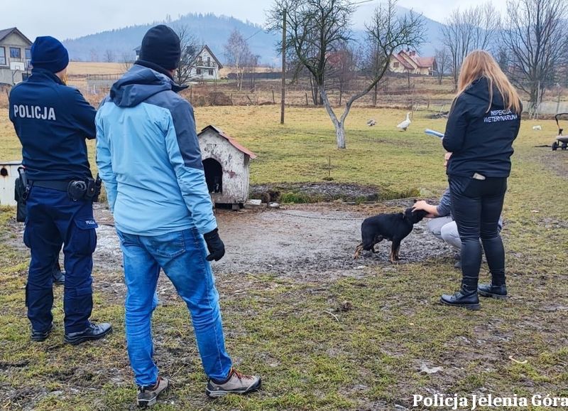 Podgórzyn: Nie wszyscy zadbali o swoje zwierzęta