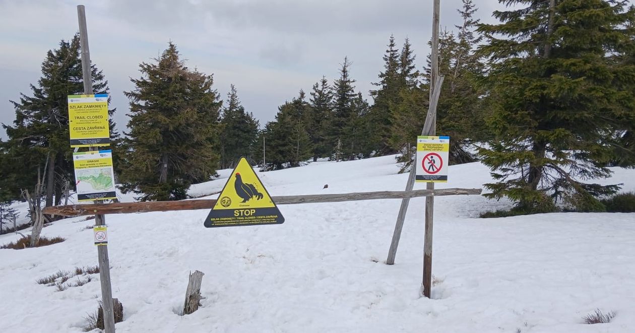 Karkonosze: Czesi też zmykają szlaki