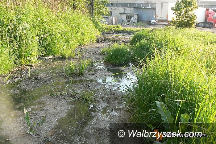 Wałbrzych: Jezioro fekaliów zamiast ogródka