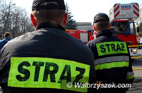 REGION, Świdnica: Strażacy mają pełne ręce roboty, chociaż się nie pali