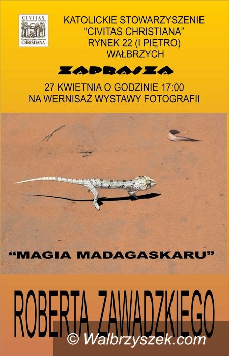 Wałbrzych: Magiczny Madagaskar