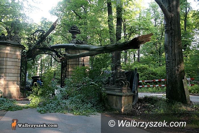 Wałbrzych: Drzewo zniszczyło bramę