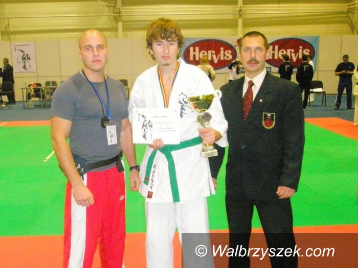 Arad: Sukces karateków