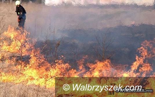 powiat wałbrzyski: Płoną trawy wokół Wałbrzycha