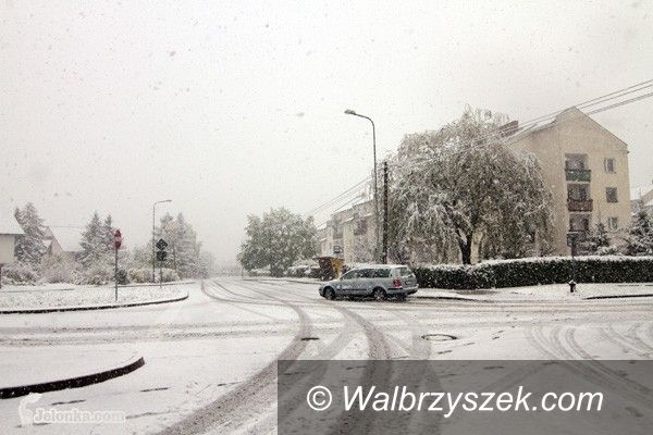 Dolny Śląsk: Z regionu: Śnieżna Majowa Jutrzenka