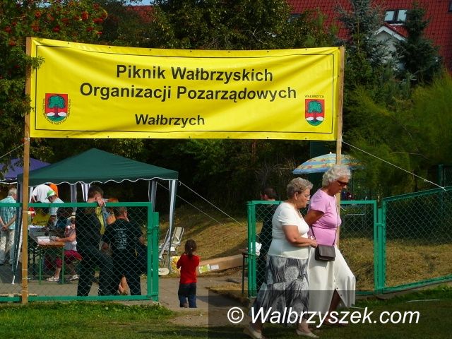 Wałbrzych: II Piknik Wałbrzyskich Organizacji Pozarządowych  za nami