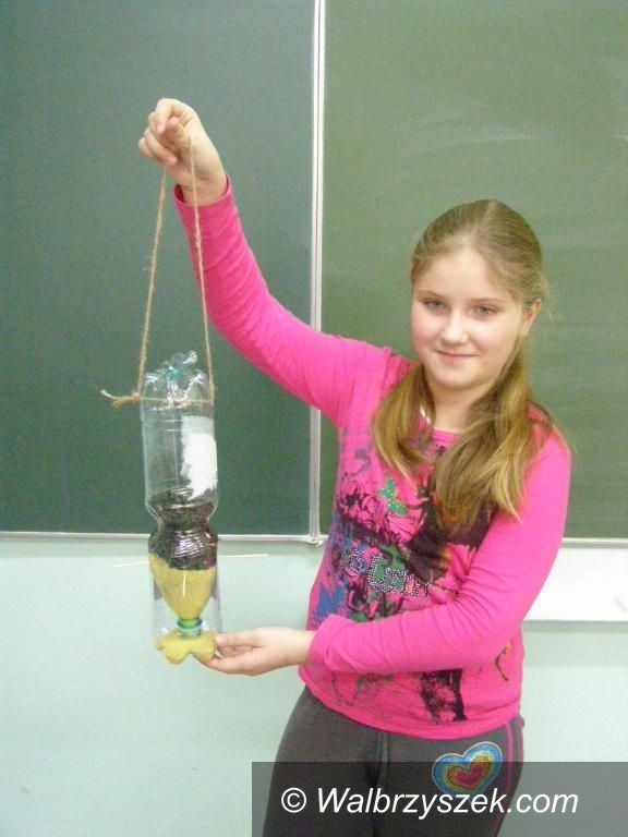 REGION, Głuszyca: Uczniowie z Głuszycy dbają o ptaki