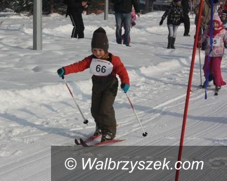 Sokołowsko: Biegli na nartach w Sokołowsku