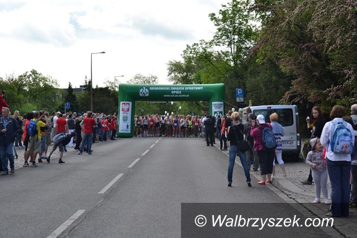 Opole: Nasi biegacze starowali w Opolu