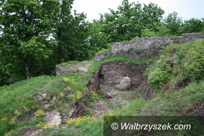 Region: Prace archeologiczne w ruinach Zamku Rogowiec