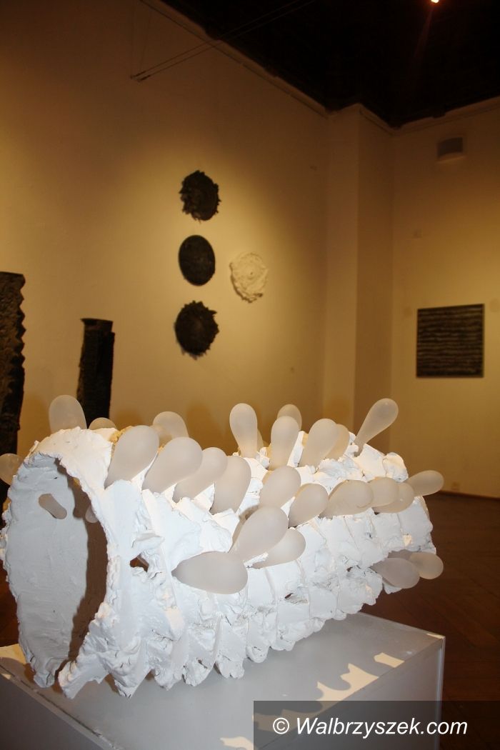 Wałbrzych: Wystawa ceramiki „Kolekcja czyli emocje”