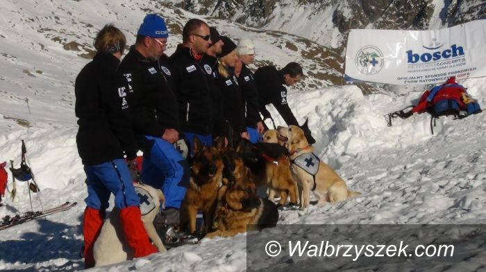 Wałbrzych: Szkolenie Podkomisji Psów Ratowniczych GOPR na lodowcu Kaunertal