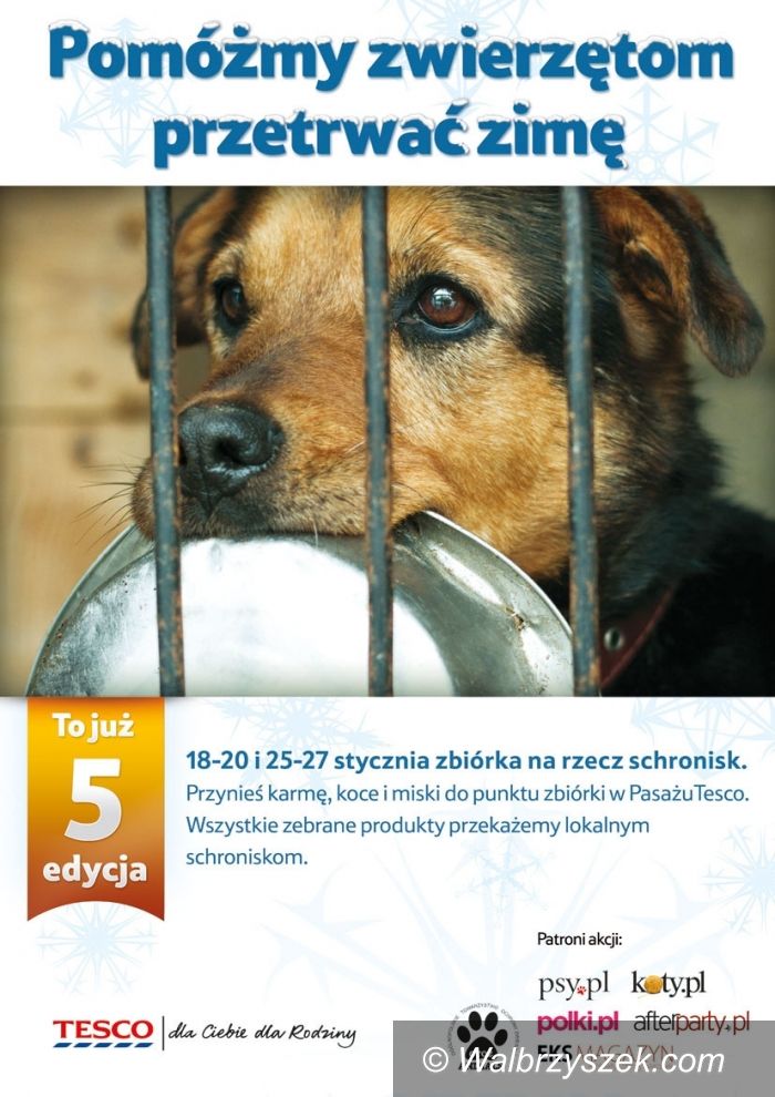 Wałbrzych/Region: „Pomóżmy zwierzętom przetrwać zimę”