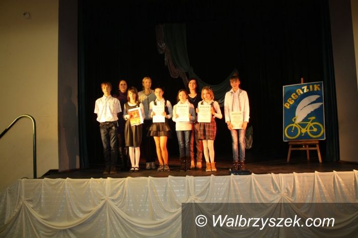 Region: Pegazik 2013 w Boguszowie–Gorcach