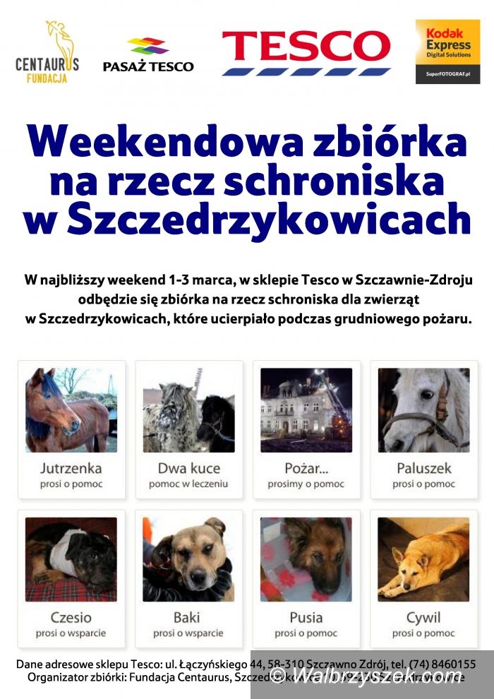 Region: Weekendowa zbiórka na rzecz schroniska w Szczedrzykowicach