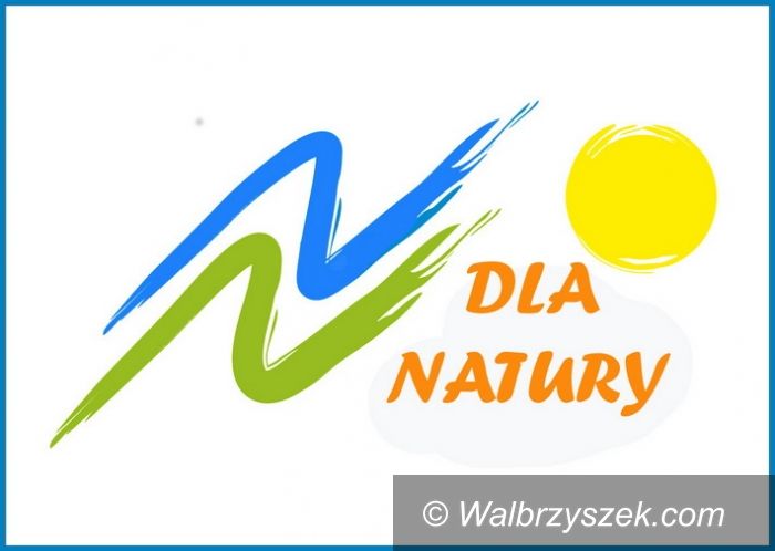 Wałbrzych: Projekt OSK laureatem konkursu Funduszu Naturalnej Energii