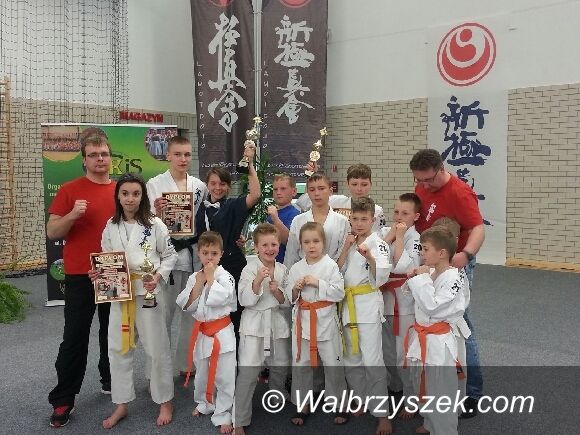 Szczawno Zdrój: Kolejne sukcesy naszych karateków
