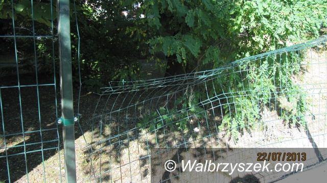 Region: Zniszczyli nowe ogrodzenie w Świebodzicach
