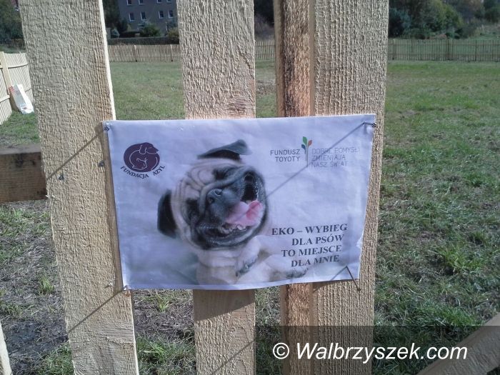 Region: Powstaje eko–wybieg dla psów w Boguszowie–Gorcach