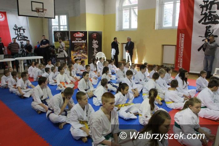 Szczawno Zdrój: Gwiazdkowy turniej karate