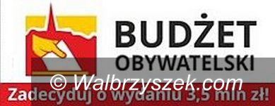 Region: Budżet obywatelski w Świdnicy – 16–latkowie pójdą do urn