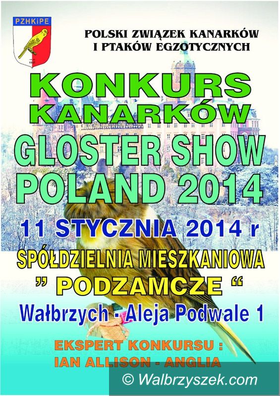 Wałbrzych: Gloster Show Poland w Wałbrzychu