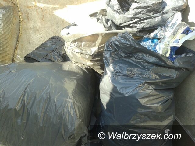 Wałbrzych: Worki ze śmieciami w Szczawniku