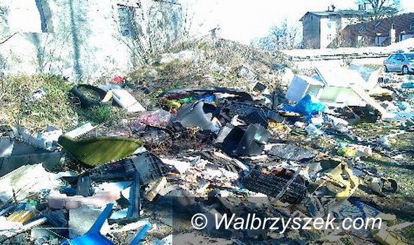 Wałbrzych: Uprzątnięto dwa dzikie wysypiska śmieci