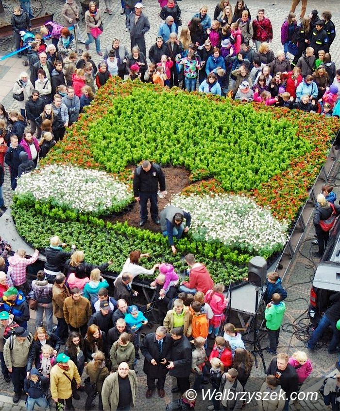 Wałbrzych: Mieszkańcy układali Herb Wałbrzycha z kwiatów