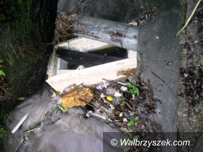 Wałbrzych: Sporo złomu i odpadów w wałbrzyskich potokach