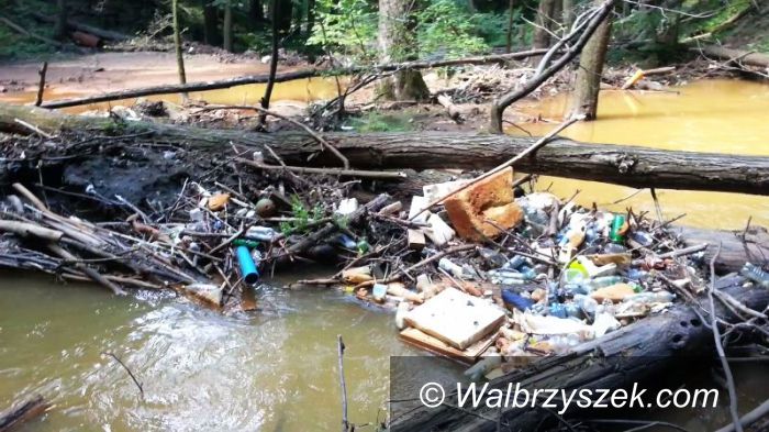 Wałbrzych: Książański Park Krajobrazowy pełen śmieci
