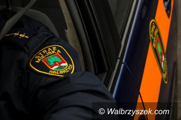 Wałbrzych: Niszczyli samochody przy ulicy Moniuszki