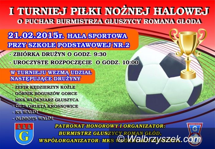 Głuszyca: I Turnieju Piłki Nożnej Halowej o Puchar Burmistrza Głuszycy