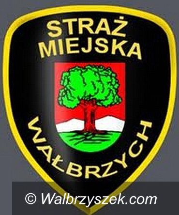Wałbrzych: Funkcjonariuszka Straży Miejskiej pomogła 81–latkowi