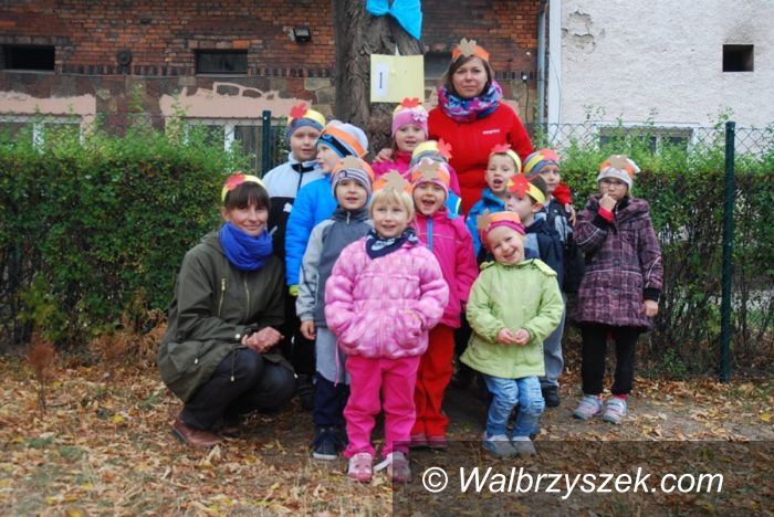 REGION, Mieroszów: Przedszkolaki z Mieroszowa sprzątały świat