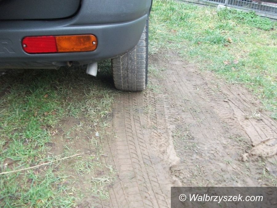Wałbrzych: Ukarali za parkowanie na trawnikach
